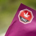 Zbliżenie opakowania z konopiami z wyraźnym ostrzeżeniem o THC